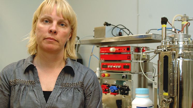 Forskare från LTU utvald för energiresa till USA