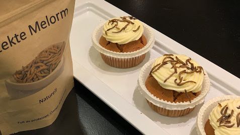 Gresskarmuffins med smørkrem og ristede melormer 