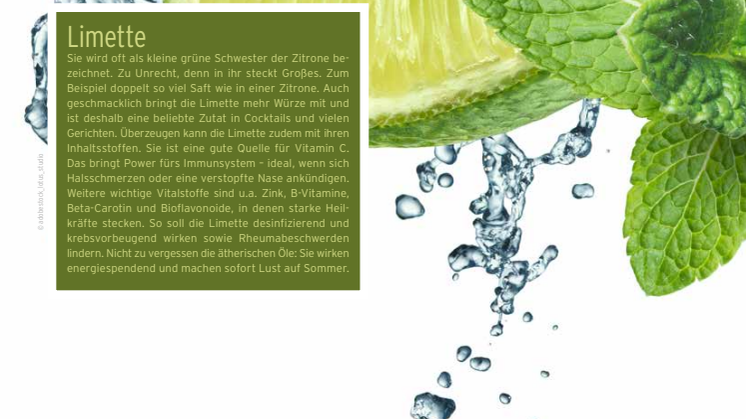 Sommer Sonne Frische: Coole Wirkung mit Limette und Wasserminze