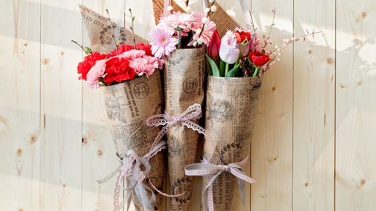 Röda och rosa blommor Alla hjärtans dag