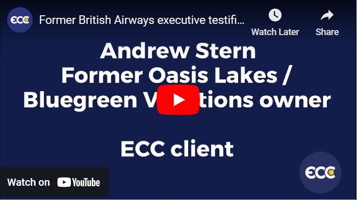YouTube Andrew Stern testimony