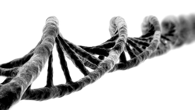 £1 million funding award supports leading new medical research at Northumbria University