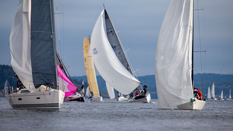 Tjörn runt -23, Spinnakerstart (2)