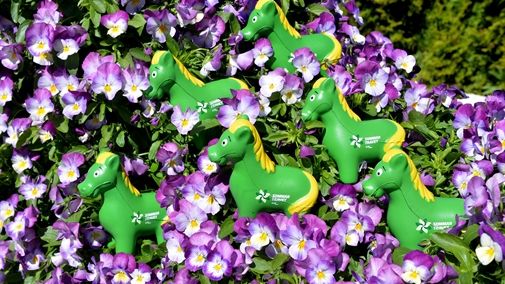 Idag börjar folkfesten – Sommartravet kommer till Halmstad