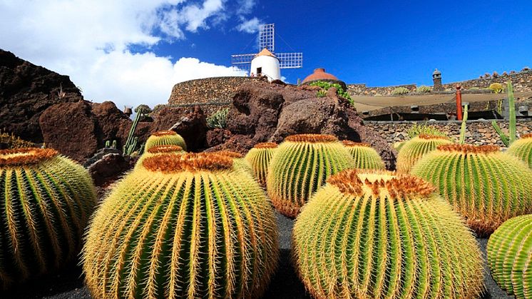 Free flights on two Canaries Winter sunshine cruises with  Fred. Olsen Cruise Lines – book by 31st August 2015