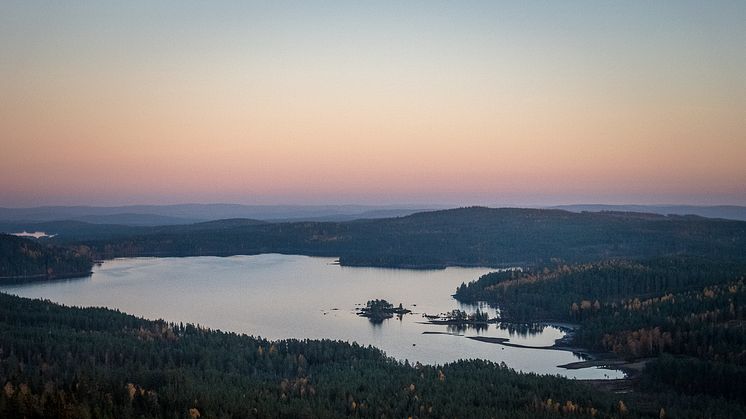 Ärtknubben Foto Anna Holm Visit Dalarna 2