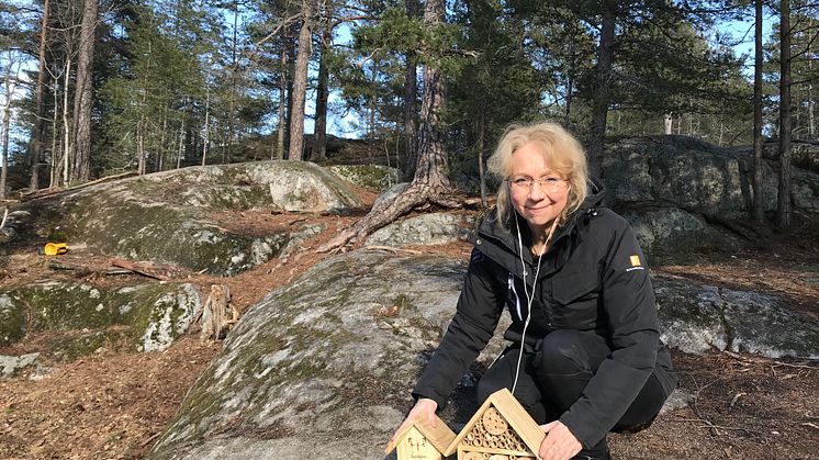 Chris Österlund, vd Botkyrkabyggen, med ett fjärilshotell och ett insektshotell i Storvreten