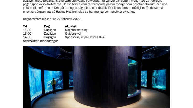 220211 Sportlov på Havets Hus.pdf