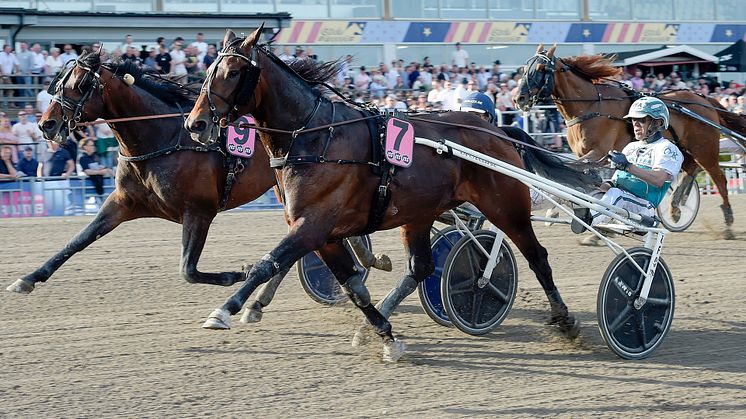 Mister Hercules tar plats nummer fjorton till sista söndagen i maj. Foto: TR Bild