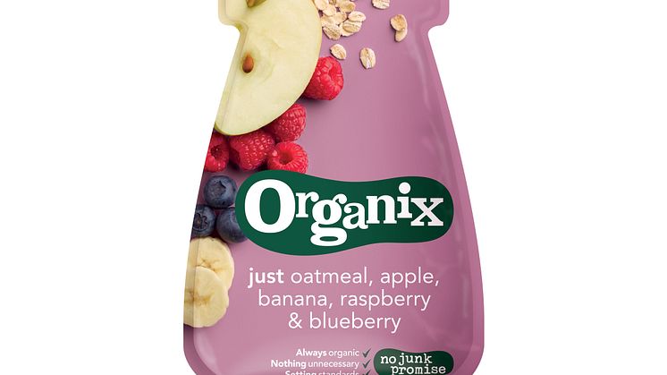 Organix Just oatmeal, apple, banana, raspberry & blueberry