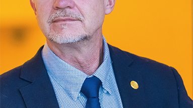 9789198116267_383x_mot-alla-odds-i-demokratins-tjanst.png