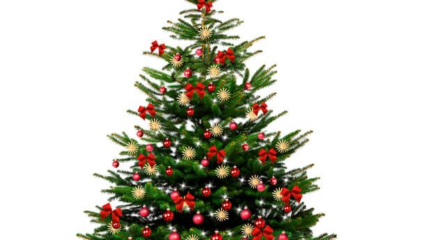 julgran