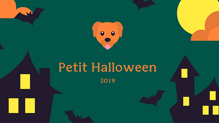 Sveriges första Halloween-promenad för hundar - till förmån för Hundar Utan Hem 