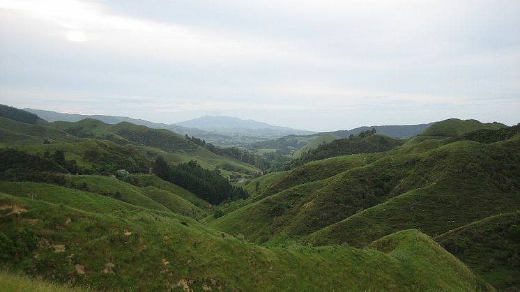 Floyd Wilde from Cambridge, New Zealand, CC BY-SA 2.0 <https://creativecommons.org/licenses/by-sa/2.0>, via Wikimedia Commons