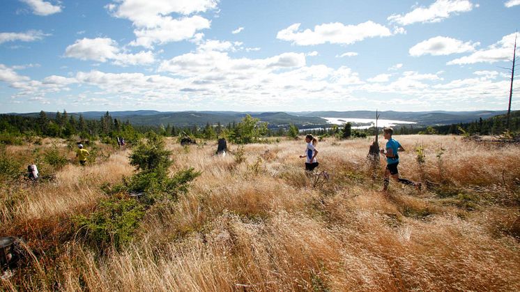 Löpare från hela landet glädjs åt nyheten att populära Järvloppet åter planeras i Järvsö.