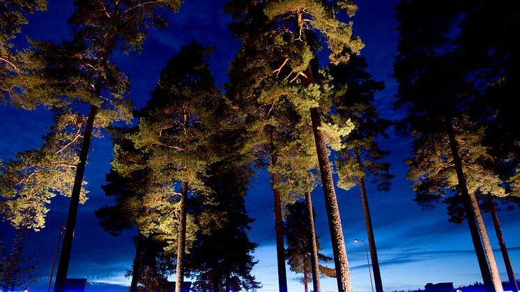 Outdoor Lighting Solutions