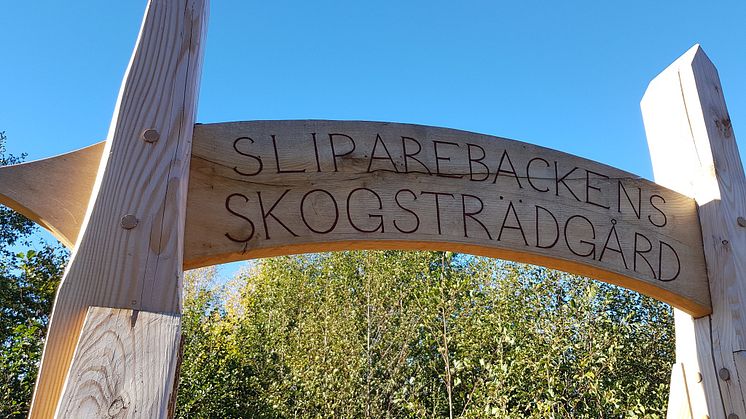 Pressinbjudan: Sliparebackens skogsträdgård - invigning och aktivitetsdag
