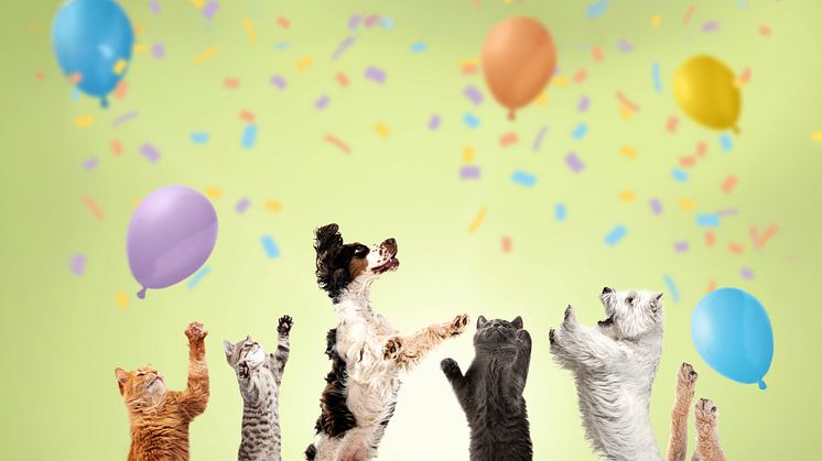 Pfoten hoch, Preise runter - Fressnapf feiert Geburtstag