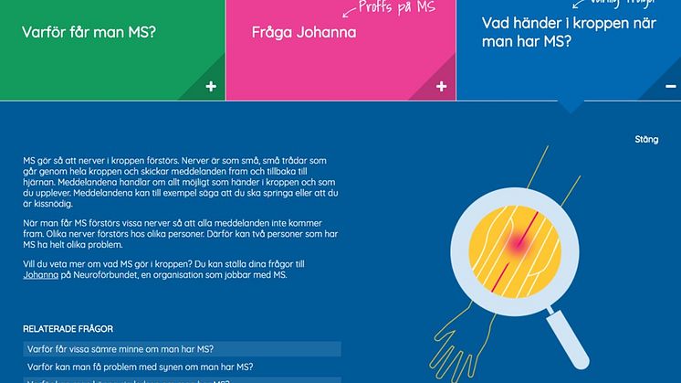 Vad händer i kroppen när man har MS?