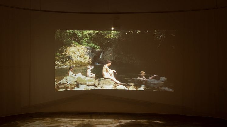 Laure Prouvost, Swallow, 2013