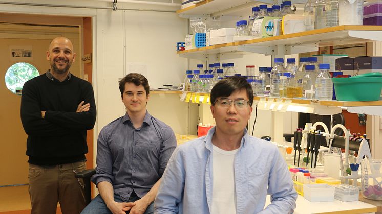 ignacio et al