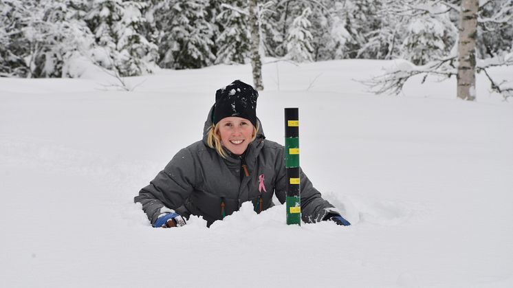 SNØDYP