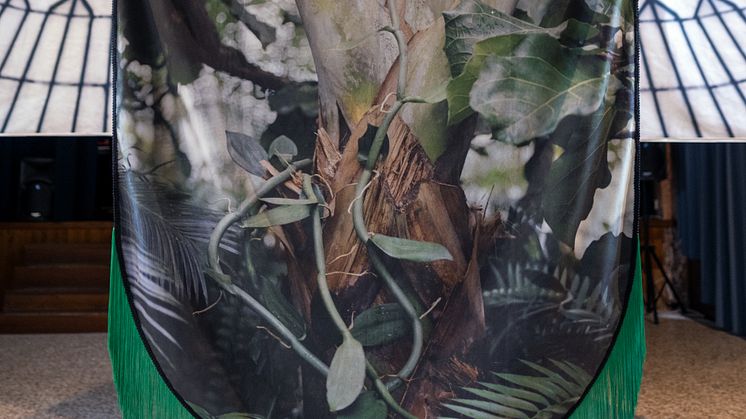 Shiraz Bayjoo, Roots and Vine, 2022