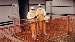Ebola crisis in North KIvu, DRC