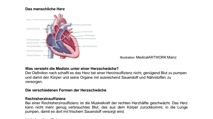 HW2024_Herzschwäche_Daten_Fakten_FIN (1) (1).pdf