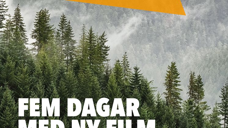 13-17 mars är det dags för andra upplagan av Film Fest Sundsvall. Under fem dagar visas det film från hela världen. 