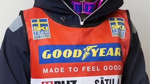 Skicrosslandslaget 2016/2017
