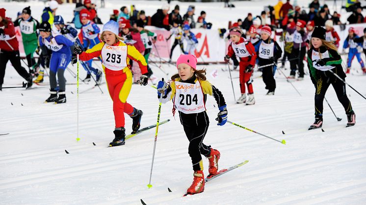 UngdomsVasan 2011