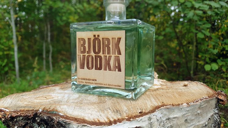 Björkvodka på björkstubbe