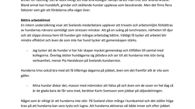 Att följa med husse eller matte till kontoret