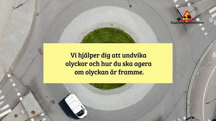 Algen_NY.mp4