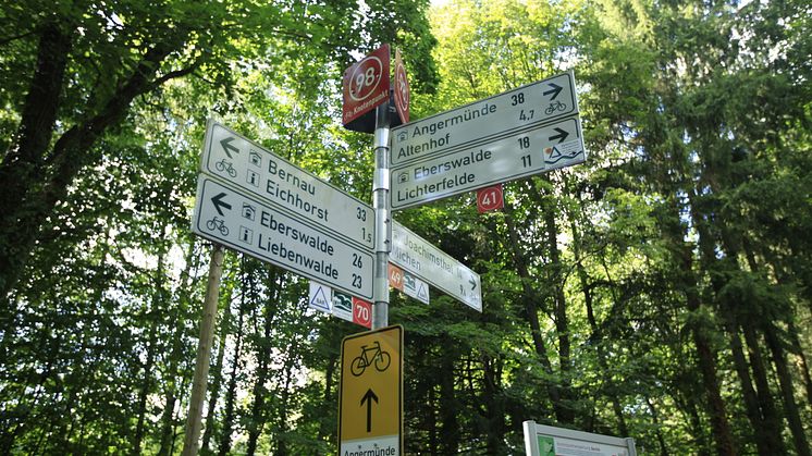 Knotenpunktradeln sorgt für noch mehr Abwechslung beim Radfahren in Brandenburg. Foto: TMB-Fotoarchiv/Steffen Lehmann.  