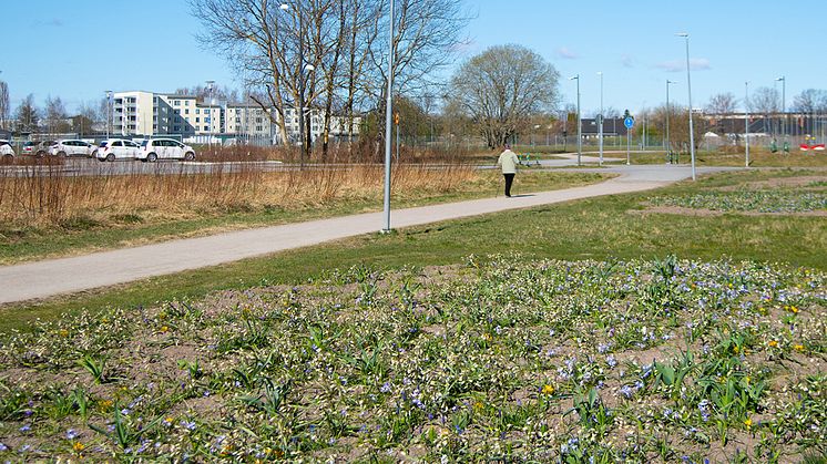 Jeremiasparken 2.jpg