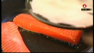 TV4 Reportage: vi kan mer än halvera våra klimatutsläpp