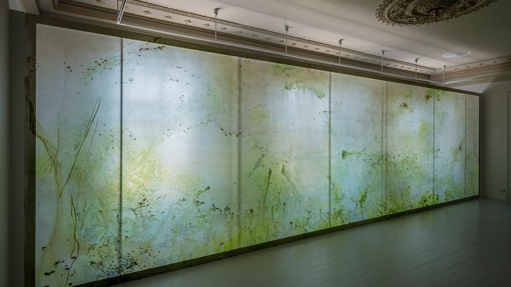 Alma Heikkilä these processes include plasticity, mutualistic symbiosis, and extinction 2020