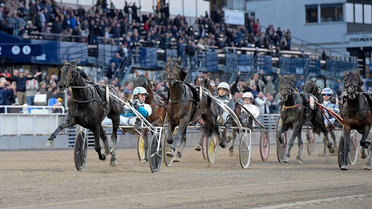 Xanthis Harvey mål