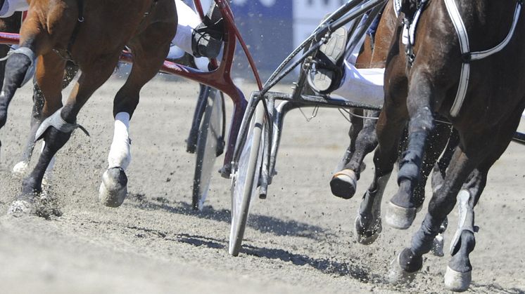 Trav- och galoppsporten ger spelutredningen godkänt betyg