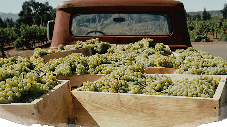 Fetzer Vineyards feirer 50 år med bærekraftig vinproduksjon i California
