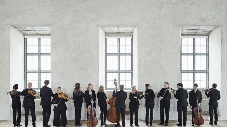 Den framgångsrika kammarorkestern Camerata Nordica har ett omfattande program klart inför nästa säsong. Foto Jonas Lindström studio.