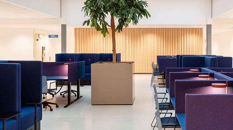Campus Albano, LINK Arkitektur