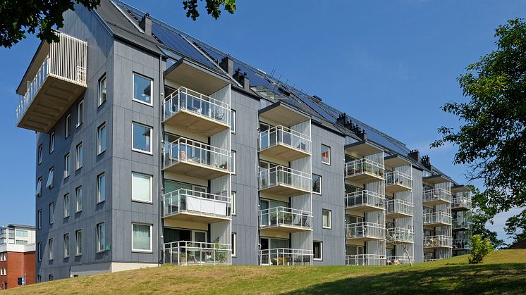 W-JPNG-RÄVEN 18-0107-FOTO G ASSNER
