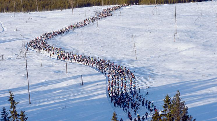 Vasaloppet 2013