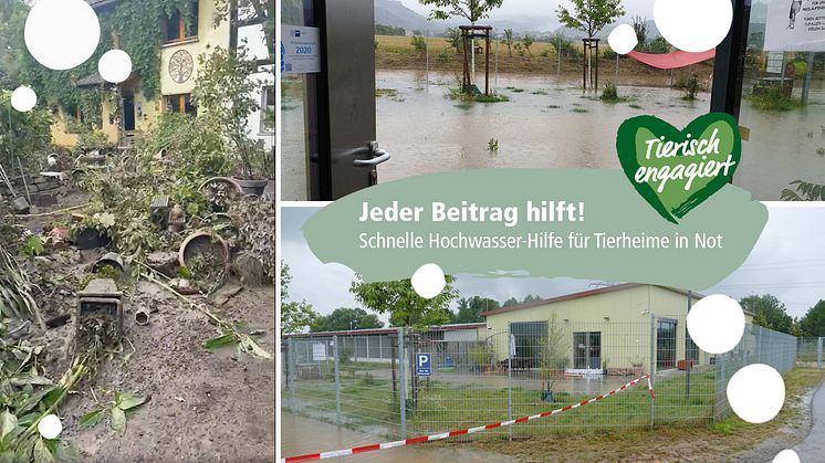 Fressnapf-Initiative "Tierisch engagiert": Übergabe von 50.000 EUR aus dem Fluthilfefonds für das Tierheim Bonn