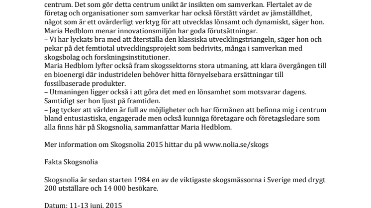 Skogsklustrets vd lyfter fram en mässa i centrum