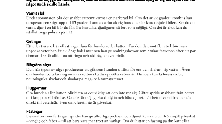 Sommarens faror för hund och katt