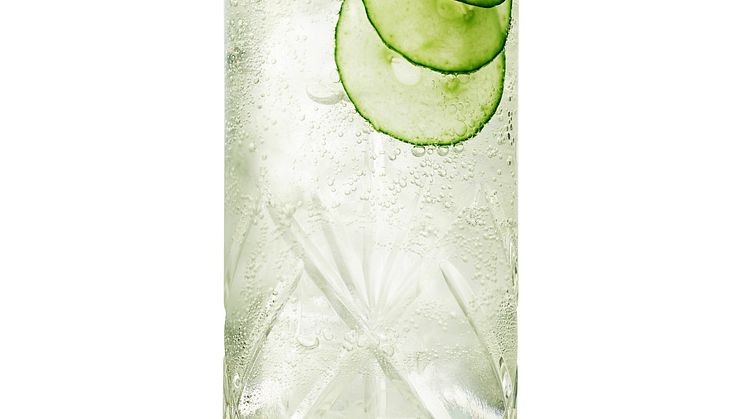 Internationella Gin & Tonic-dagen – igen!